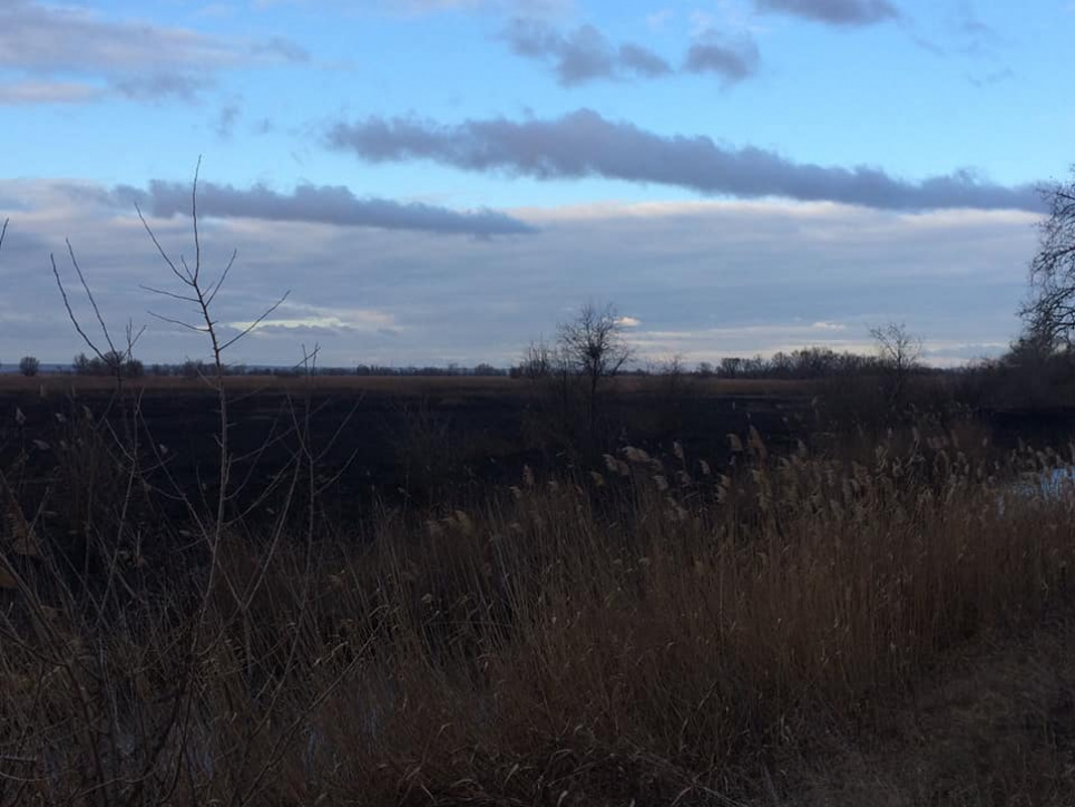 У Нижньодністровському національному природному парку вигоріло до 800 га