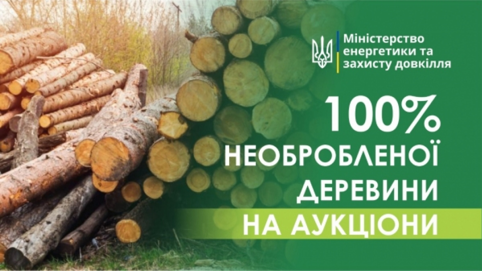 Необроблену деревину почали продавати через Prozorro