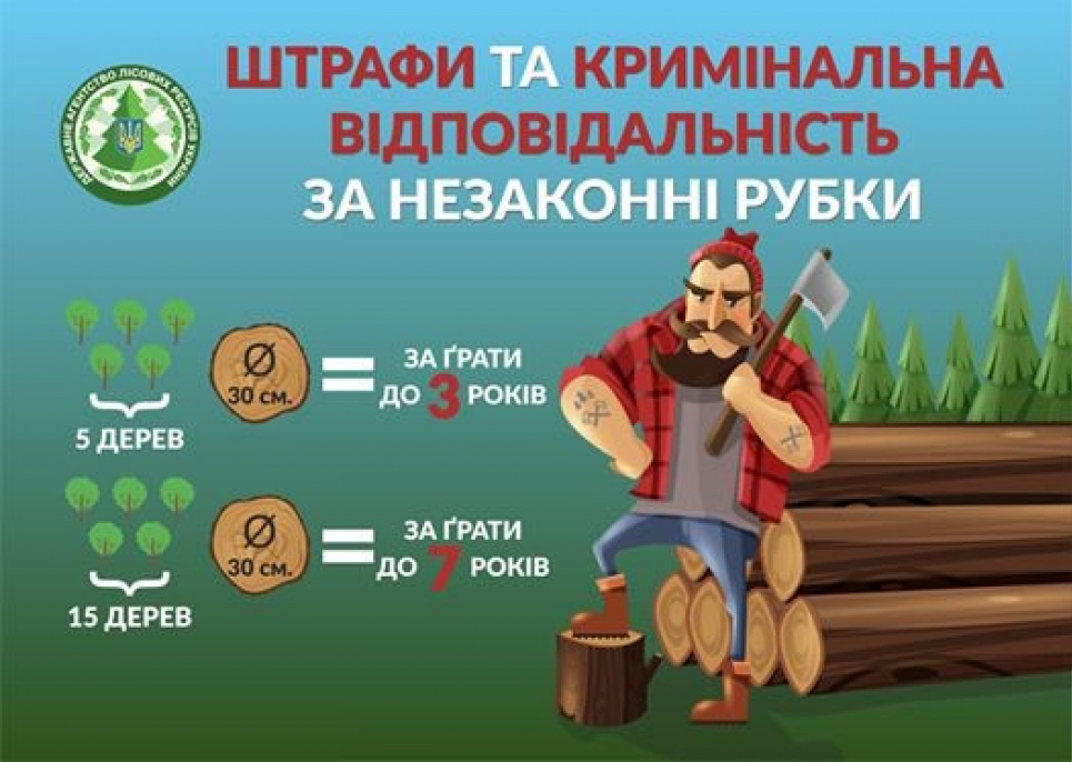 Закон про п’ять деревець: як рахуються збитки за незаконну рубку