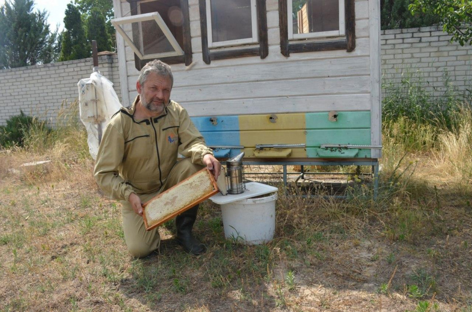 Пасічників і бджіл врятують кооперативи – експерт