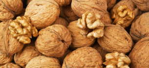 Селекционеры НААН вывели четыре новых скороплодных сорта грецкого ореха