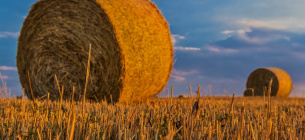 Аграрные субсидии ЕС для Украины