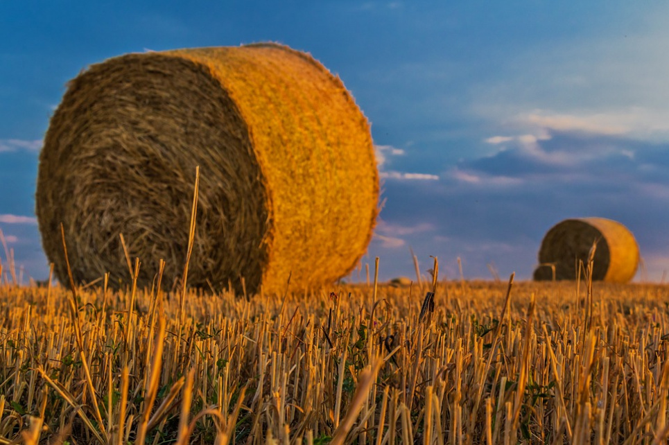 Аграрні субсидії ЄС для України
