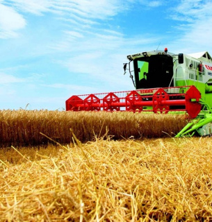 В Украине намолочено 75,7 млн. тонн нового урожая