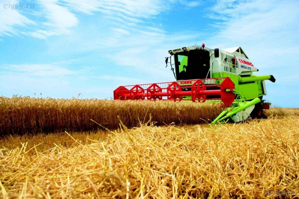 В Украине намолочено 75,7 млн. тонн нового урожая