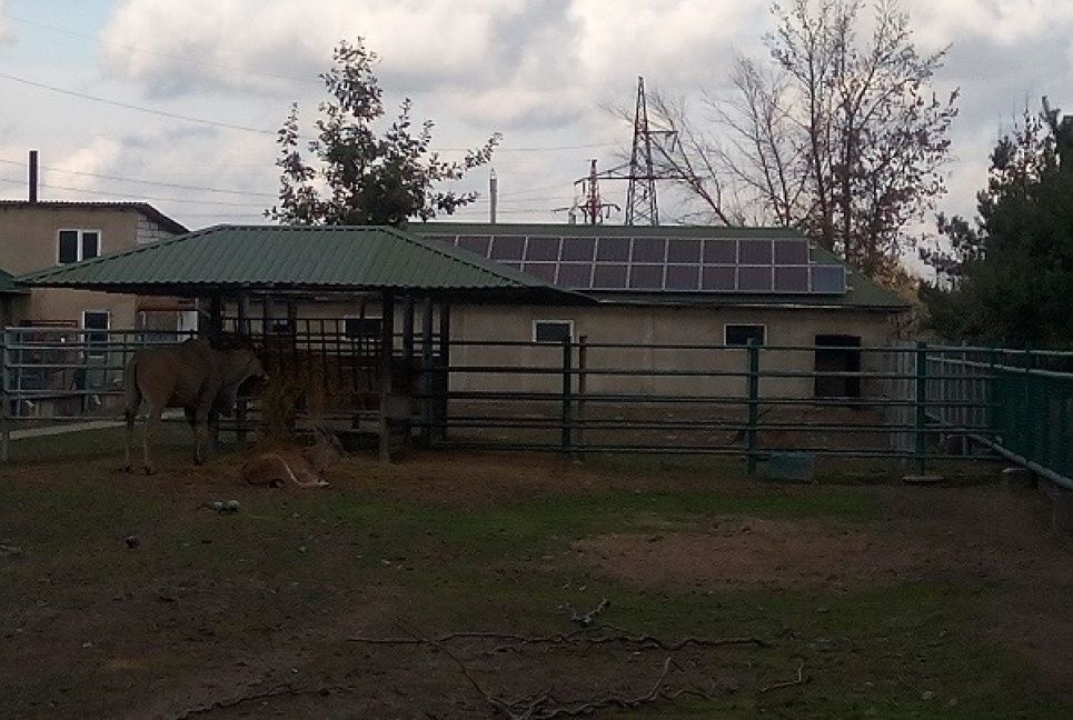У Вінниці зоопарк живитиме сонячна мініелектростанція