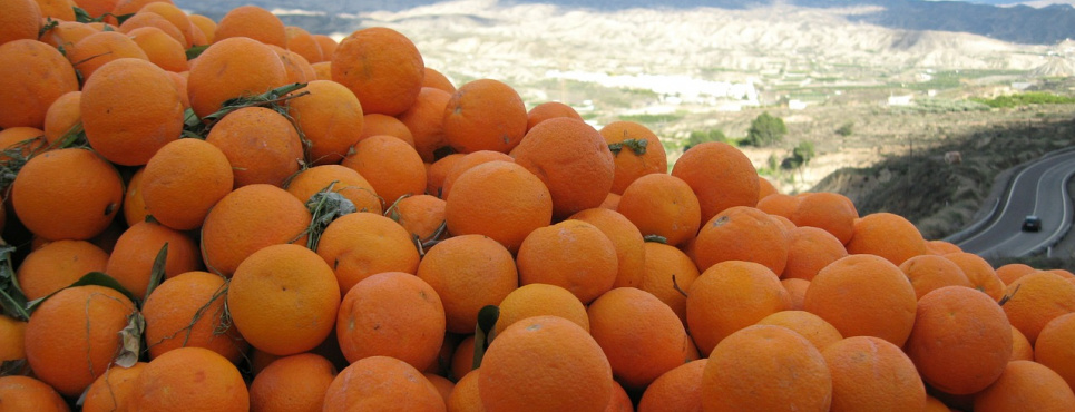 Фото иллюстративное