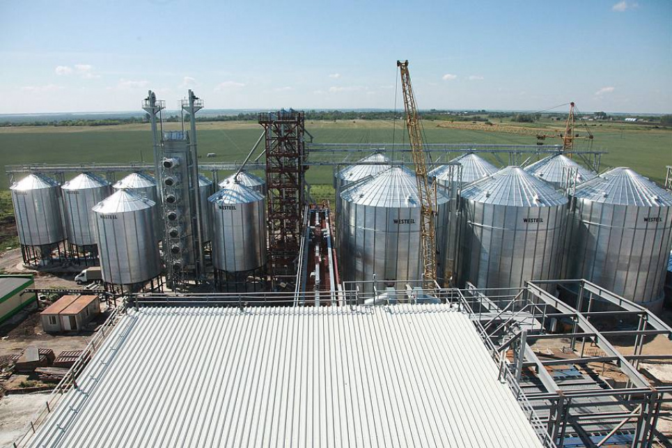 Bayer може збільшити виробництво насіння в Україні в 2,5 рази З відкритих джерел