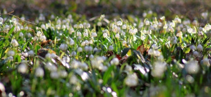 Фото Максима Адаменка