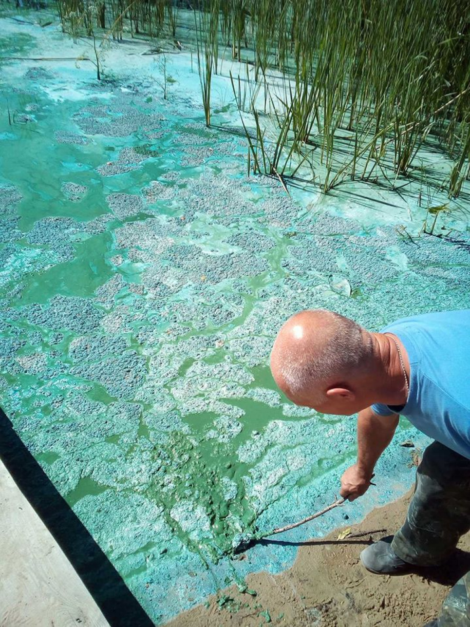 Рось та Дніпро готові «цвісти»: у стоках – тонни фосфатів уряд так і не спромігся затвердити постанову «Про внесення змін до Технічного регламенту мийних засобів»