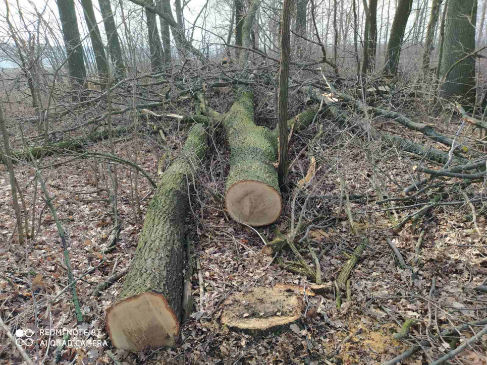 Фото Держекоінспекції