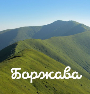 Скандал навколо Боржави: АРМА відмовляється визнавати торги за 460 га земель