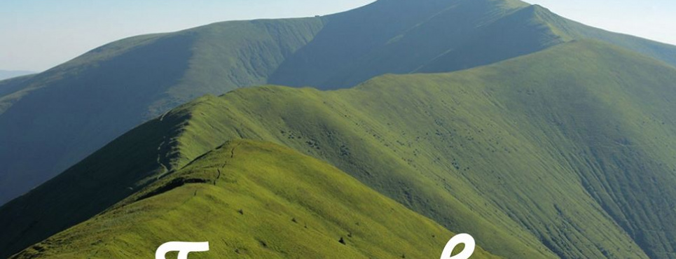 Скандал навколо Боржави: АРМА відмовляється визнавати торги за 460 га земель