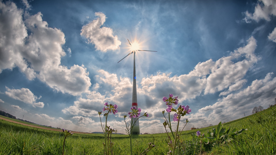 У Рівненській області «виростуть» 166-метрові вітряки. Фото: Pixabay 
