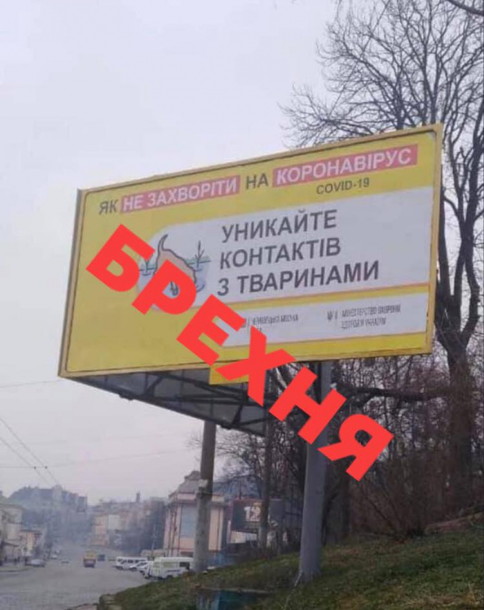 Волонтери зоозахисту висунули вимогу МОЗу