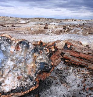 Image by Jill Mackie from Pixabay 