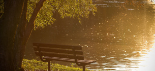 Image by Free-Photos from Pixabay 