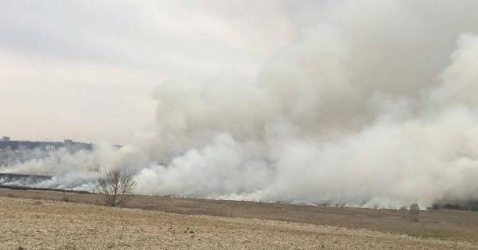 Львівщина просить збільшити штраф за підпал сухої трави у 200 разів  Фото: ЛОДА