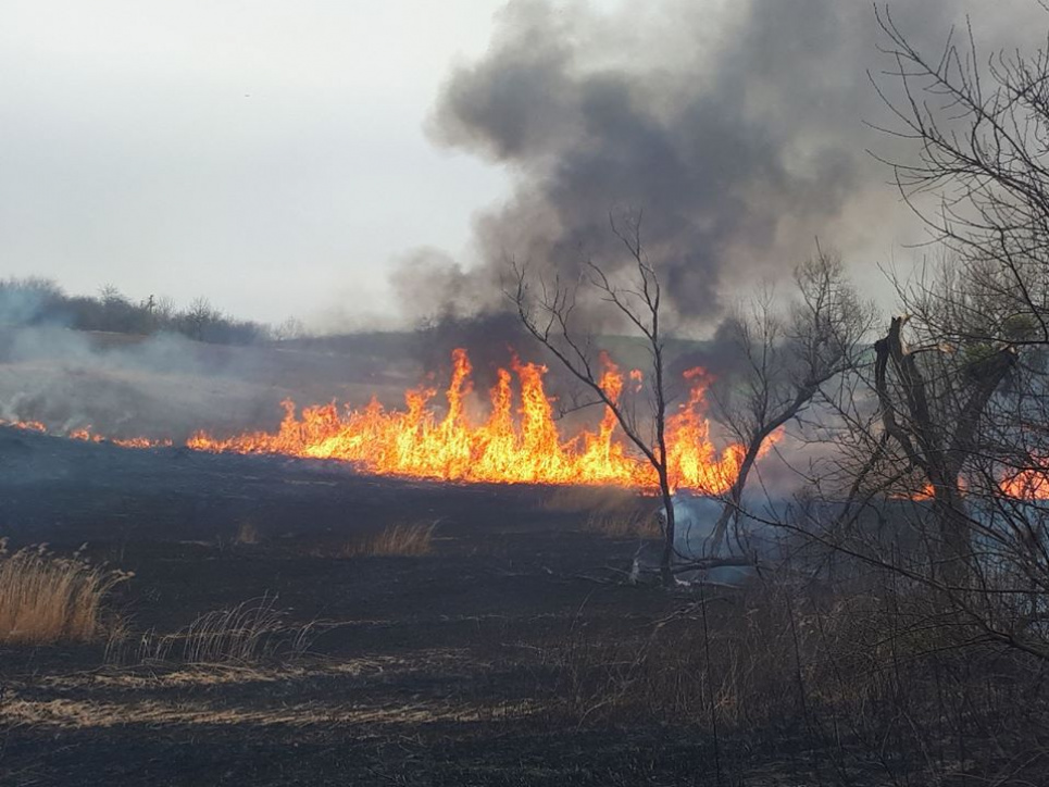Поля й ліси горять, заклики до розуму не допомагають Просто підвищити штрафи - замало. Потрібні нові законодавчі підходи