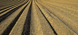 Image by Free-Photos from Pixabay 