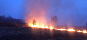 Майже тисяча загорань природи за добу - наслідки кволої державної політики у боротьбі з підпалами. Горить Ніжинський лісгосп