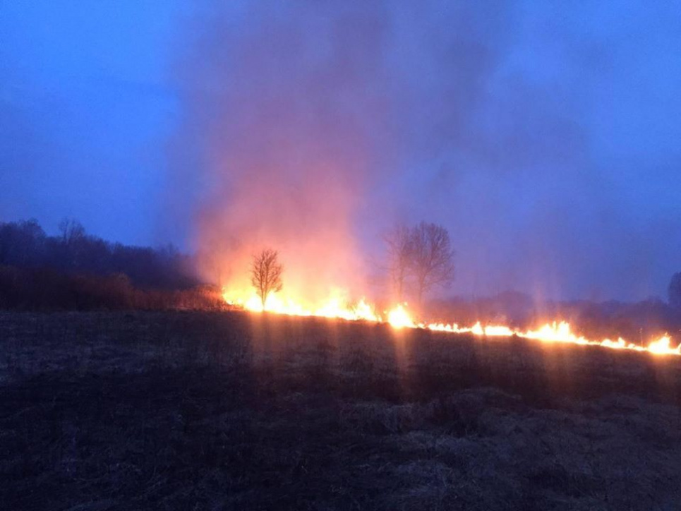 Масштабні підпали полів та очеретів: рятувальники "в шоці", але у штрафи не вірять Майже тисяча загорань природи за добу - наслідки кволої державної політики у боротьбі з підпалами. Горить Ніжинський лісгосп
