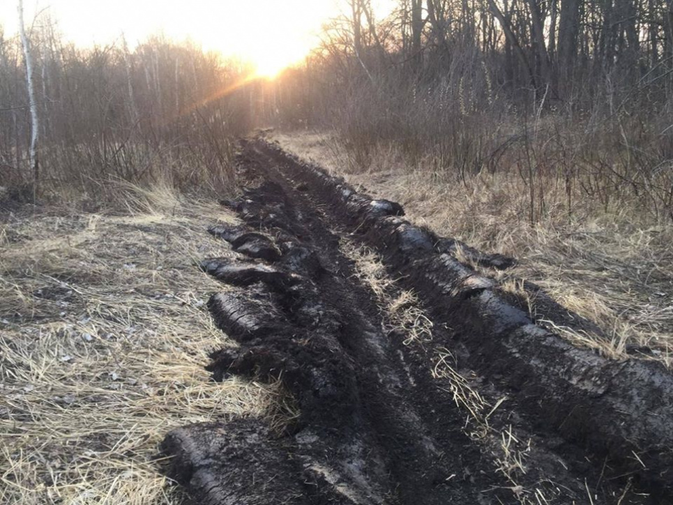 Хроніка пожеж: лісівники оборюють ліси, рятуючи від вогню Фото Ніжинського лісгоспу