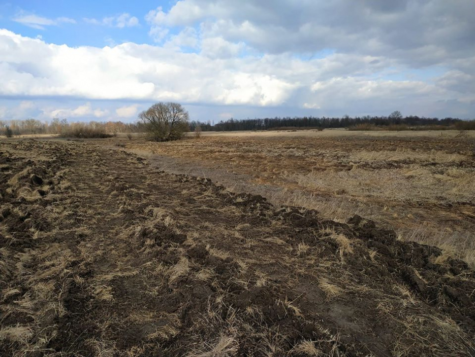 Розорана територія Сеймського РЛП. Фото Андре Марса