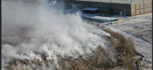 Токсини летять в музей "Пирогів" та Голосіївський ліс 