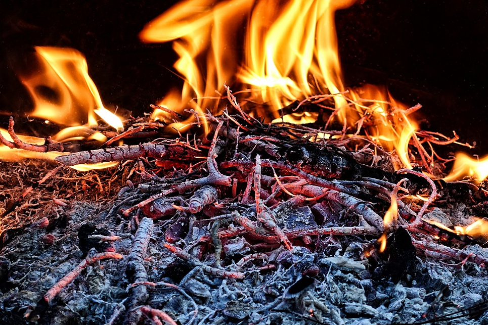 Кличко: не паліть траву, не паліть листя! pixabay