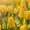 Фото: pixabay
