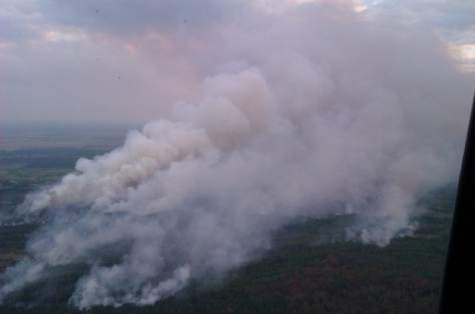 Пожежа у Чорнобильській зоні у 2015 р., Фото: ДСНС України