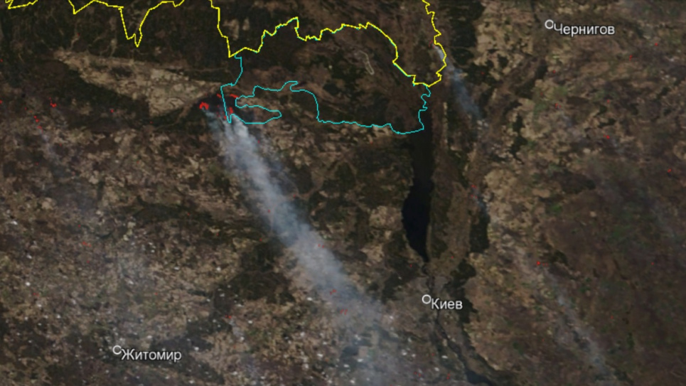 Пожежі у Чорнобилі: офіційні оцінки занижені на порядок – експерт Важливо зробити висновки з цієї ситуації, оскільки пожежний сезон лише розпочався. Фото з сайту "Відкритий ліс"
