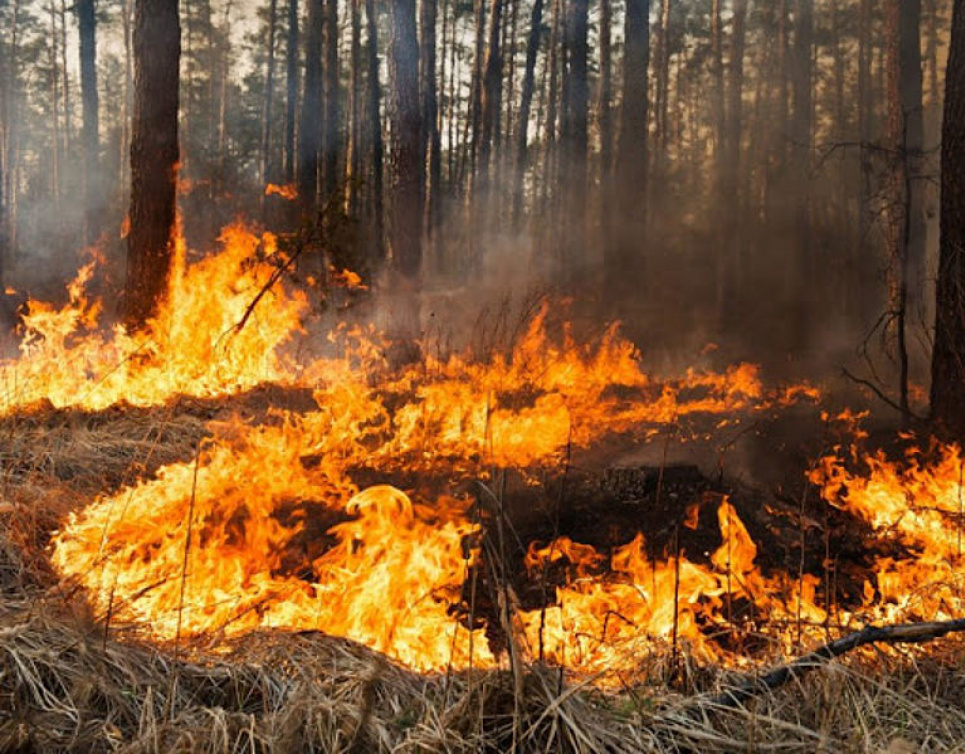 В Черниговской области выгорело более 17 га сухой растительности