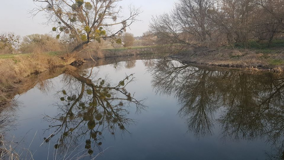Річку Рось влітку чекає маловоддя Рось, село Томилівка. Фото Олега Ковальчевського