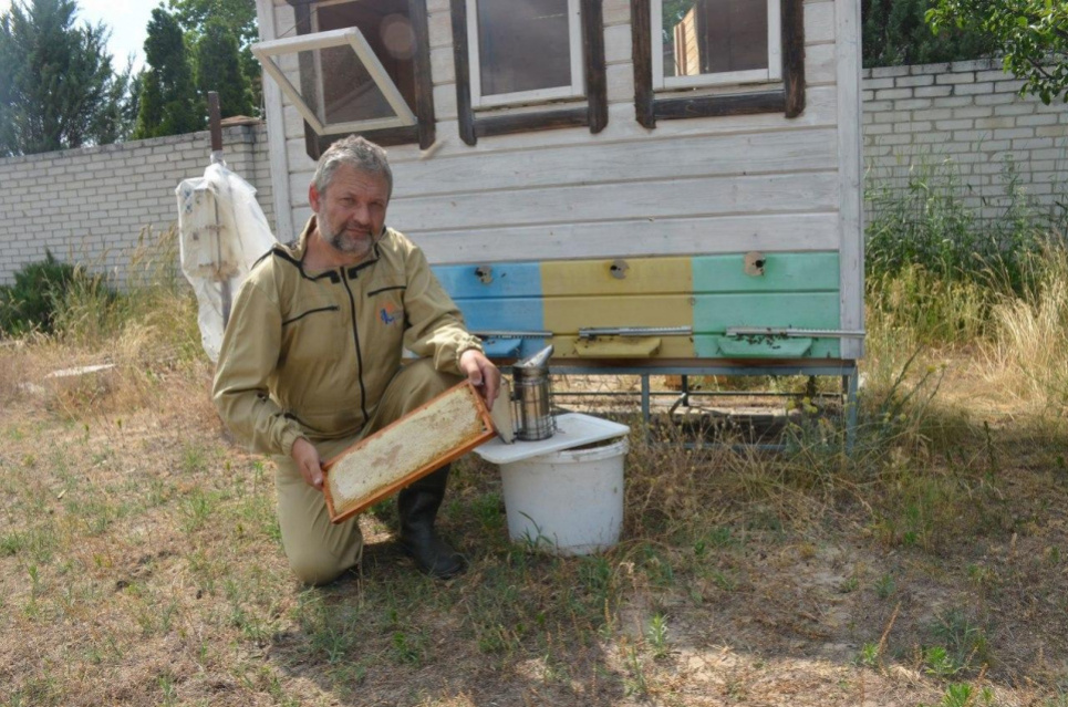 Бджоли, ховайтесь! Що робити, коли обприскують поля й сади Пасічник Сергій Щербак