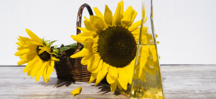 Image by Bruno /Germany from Pixabay 