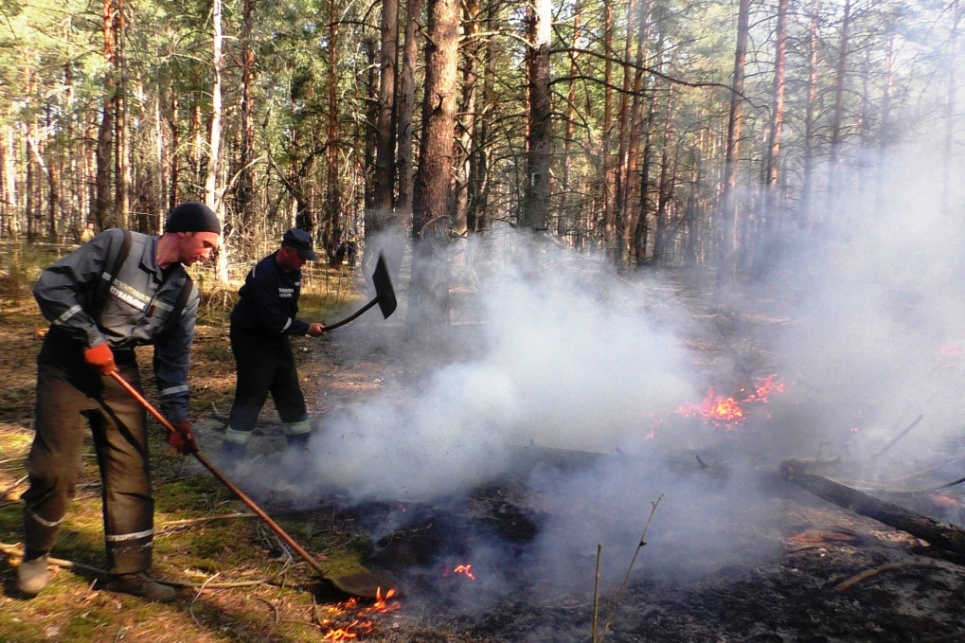 Пожежа на Чернігівщині: горить майже 200 га лісу Фото: ДСНС у Чернігівській області