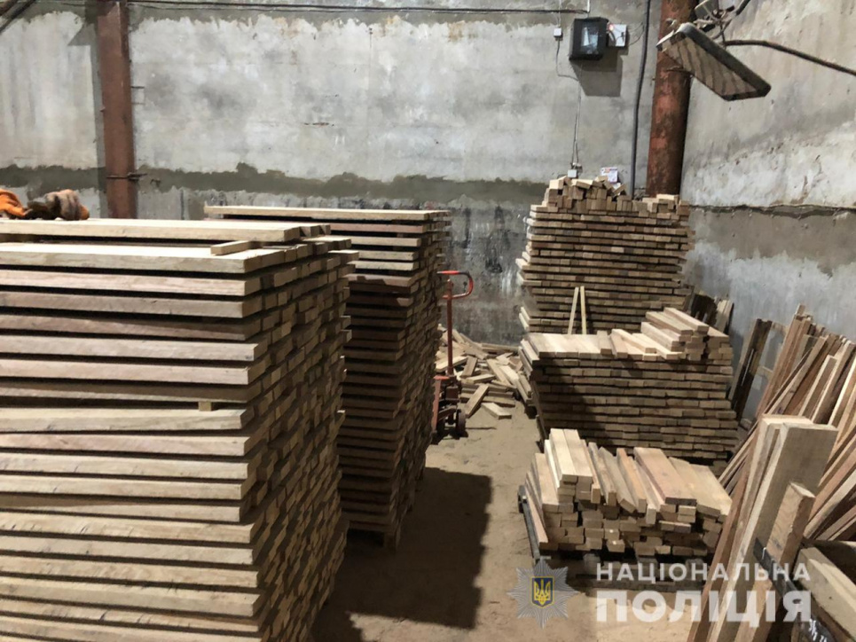 Рубки дубів у Голосіївському нацпарку: парк не має повноважень Розпиляні на дошки дуби з Пущі-Водиці. Фото Нацполіції