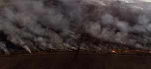Скріншот відео ВВС. Автор відео: Вадим Поленчук