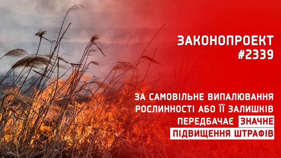 Рада прийняла законопроєкт, що посилює штрафи за підпал трави