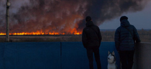 фото Олександра Петренка