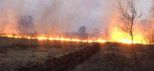 пожежа у Ніжинському держлісгоспі через підпал трави. на сьогодні погашена. Фото працівників лісгоспу