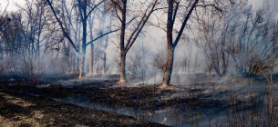 фото Олександра Сироти
