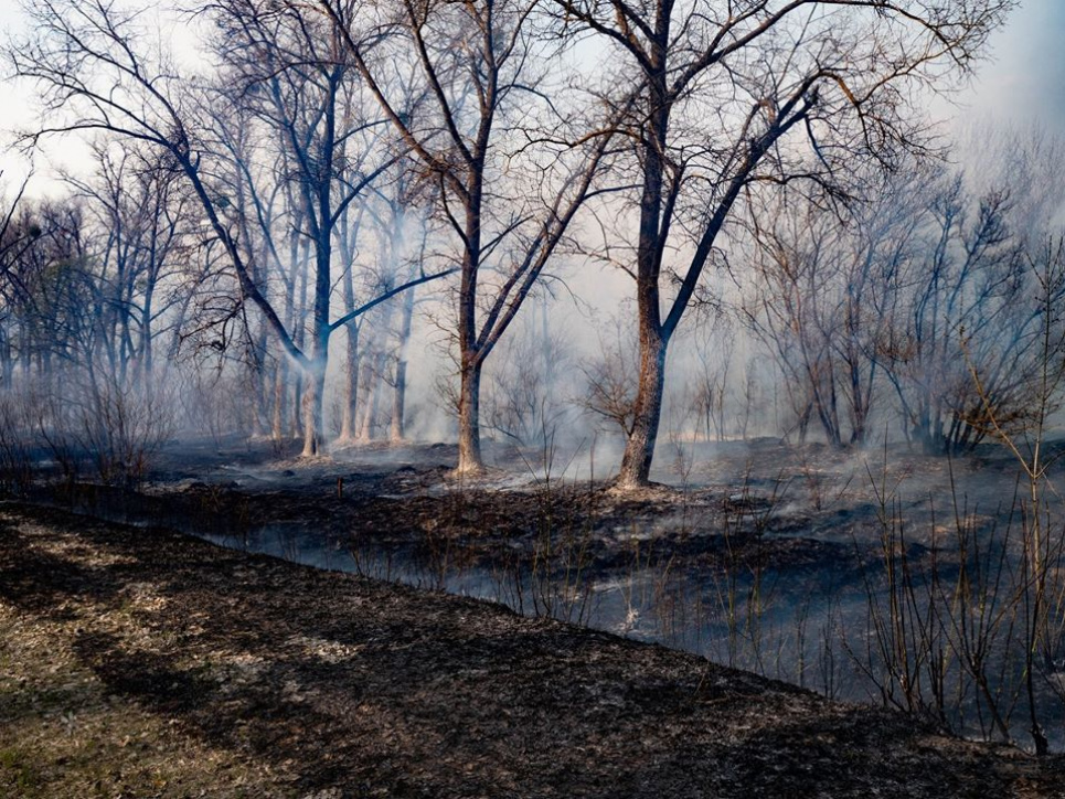 Позачерговий Радбез і слідча комісія: вимоги громадськості через пожежі у Чорнобилі фото Олександра Сироти