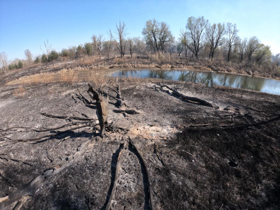 Заказник "Зачарована Десна" випалили і переорали - активіст Фото Анатаолія Тягура