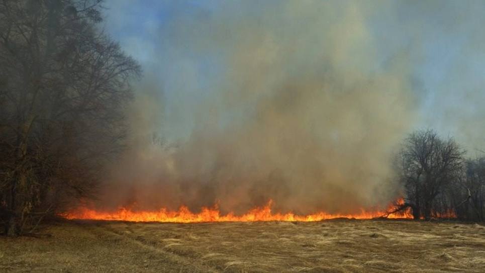 Пожежа в Ічнянському нацпарку: чи було вжито належних заходів? фото Сергія Гладкевича