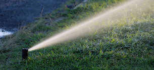 Image by Patricia Alexandre from Pixabay 