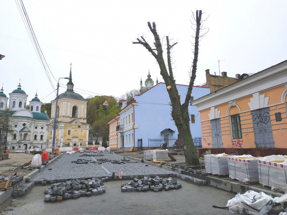 Скалічили обрізкою дерева – що робити? фото Володимира Ветроградського