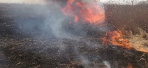 Підпал Екопарку Осокорки. Поліція паліїв не знайшла. Фото зі сторінки Екопарку